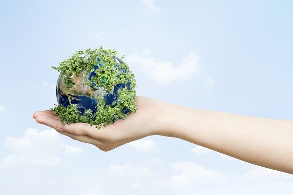 Prendersi cura dell'ambiente è un impegno quotidiano.