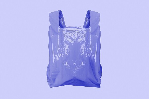 Borsa di plastica tradizionale.