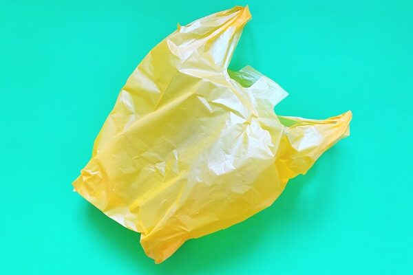 Uno dei tanti modelli di sacchetti di plastica